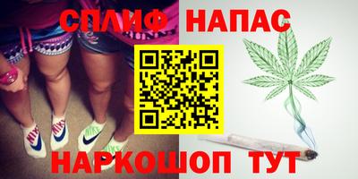 гашик Абинск