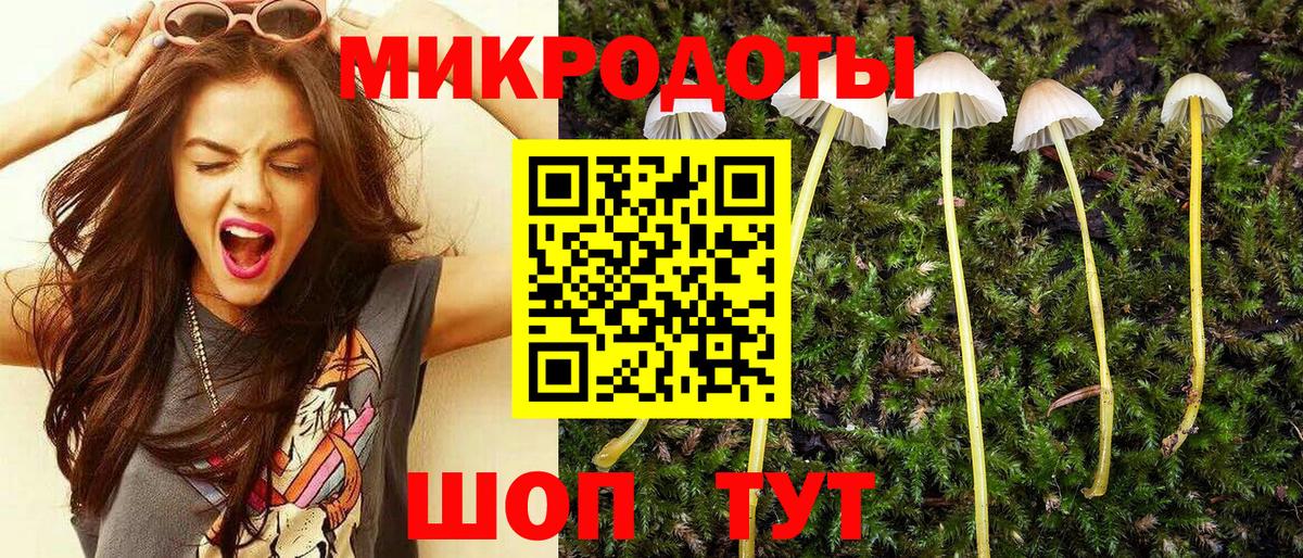 Азнакаево  Галлюциногенные грибы GOLDEN TEACHER  Вход с VPN 